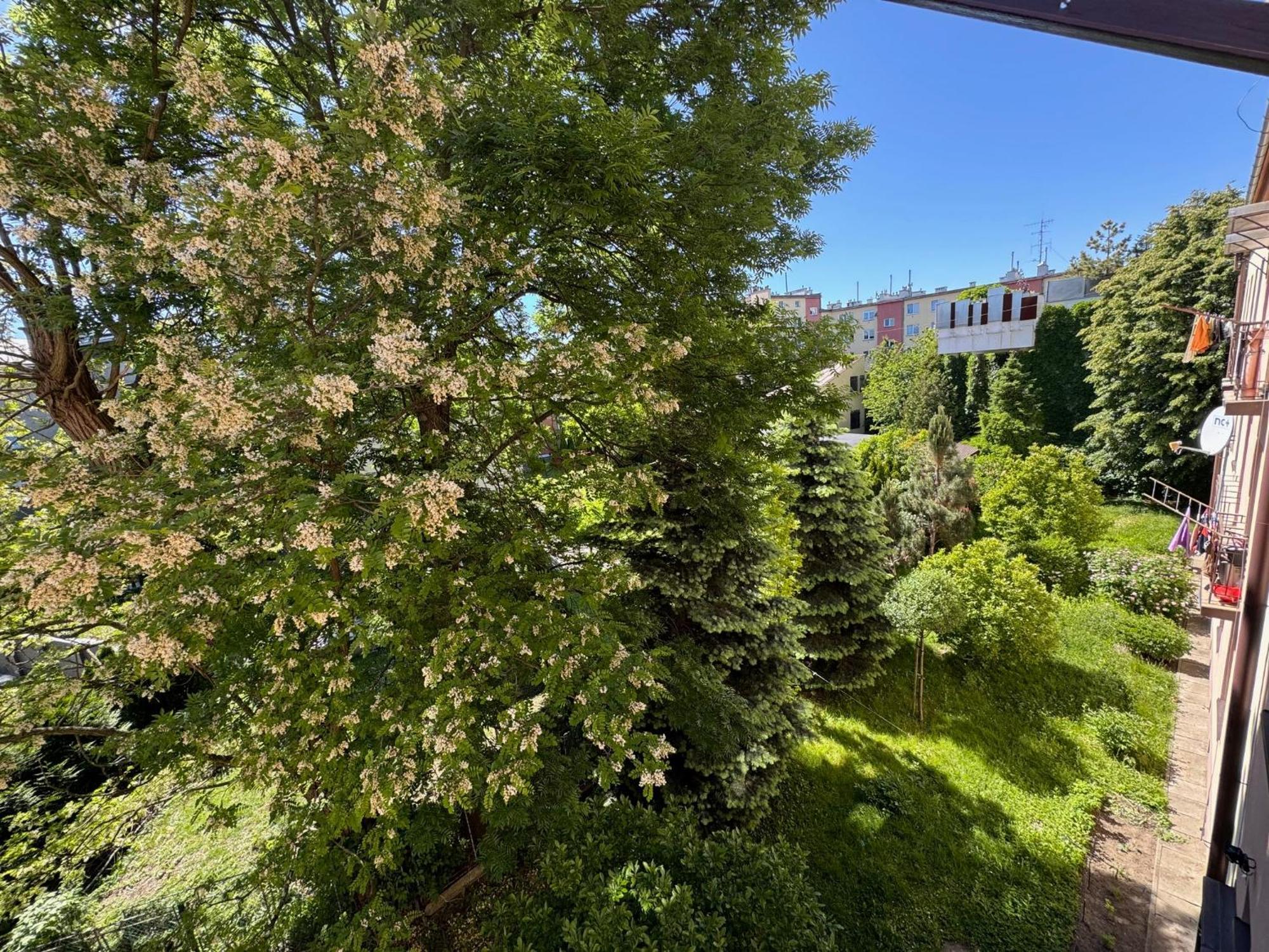 Apartament Akacja Centrum Rzeszow Bagian luar foto